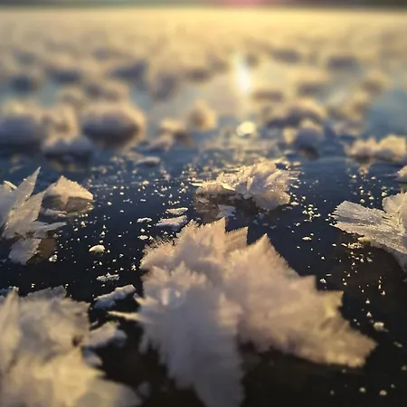 Gjestegard Couette-café *